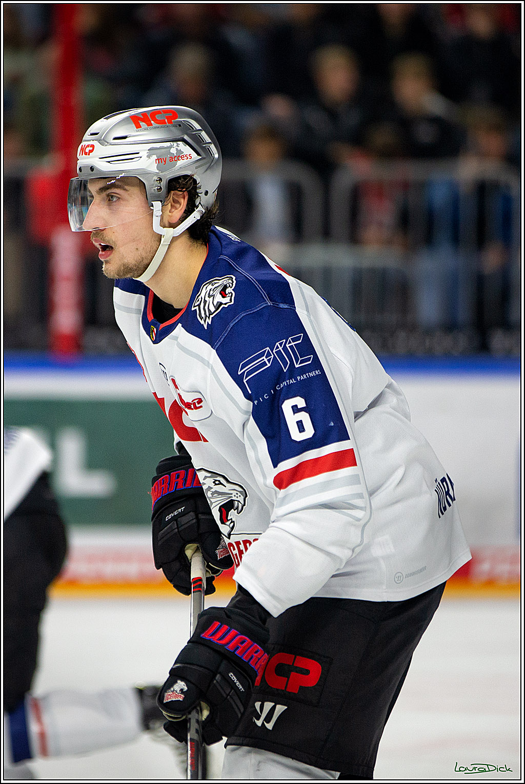 PENNY DEL; Koelner Haie- Nuernberger Ice Tigers; Koeln, 18.11.2022